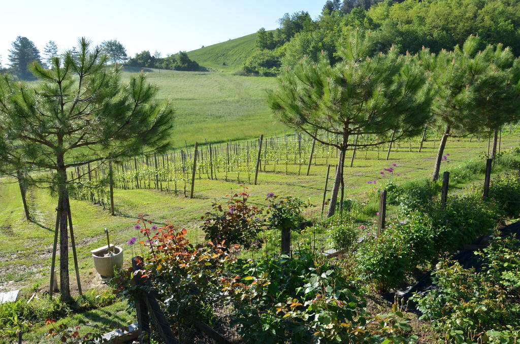 Cascina Castagneto Hotel Castell'Alfero Bagian luar foto